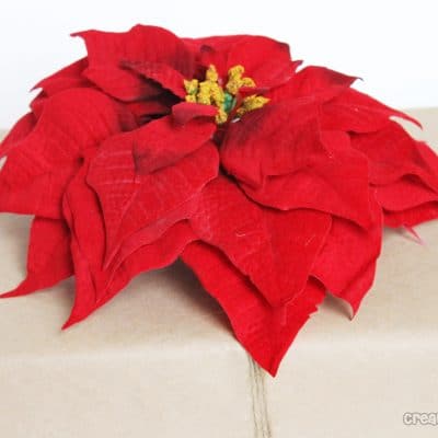 poinsettia package topper
