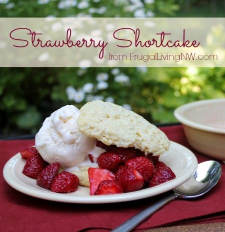 Strawberry-Shortcake-1