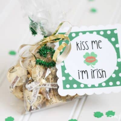 FREE St. Patrick's Day printable - perfect for #partyfavors! #stpatricksday #printables