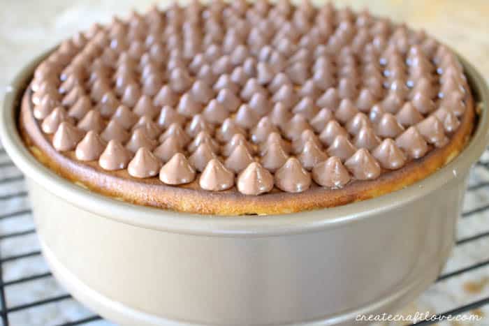 completed chocolate chip caramel cheesecake in pan