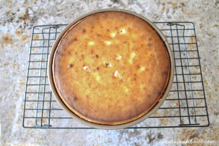cheesecake out of the oven