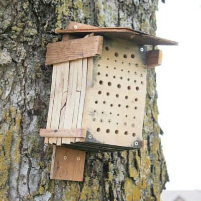 I'm sure many of you have heard about declining bee populations and the dreaded colony collapse syndrome, so even if you don't have a garden, this is a DIY Bee Habitat can help protect our native species.