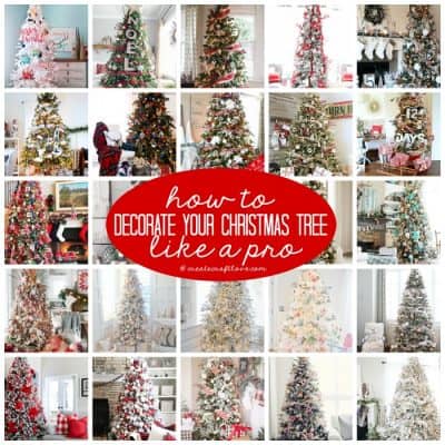 Learn how to decorate your Christmas tree like a pro this season!  Whether you are into traditional or whimscal, these ideas are sure to spark your creativity!