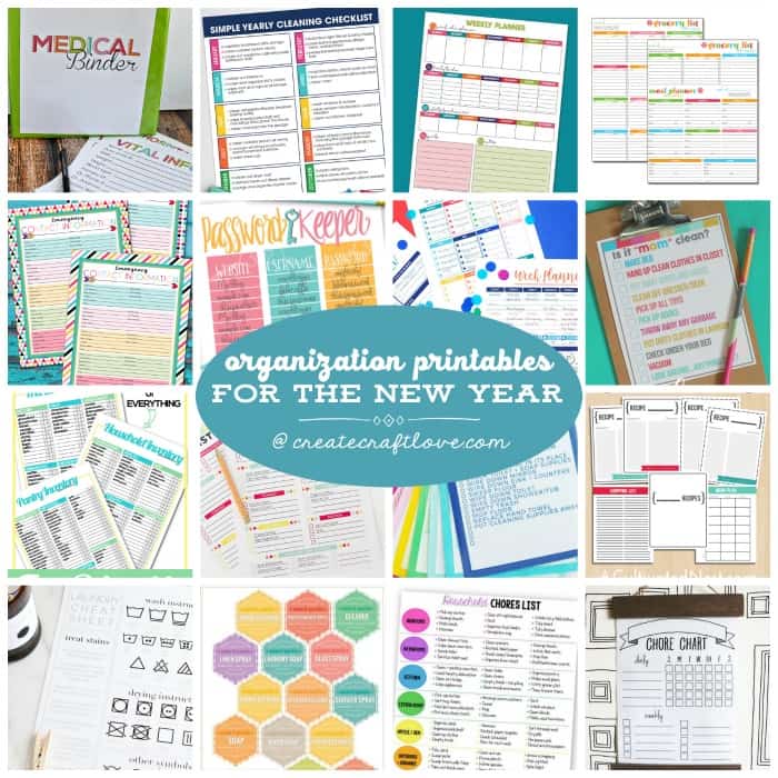 Begin the year on the right foot with these Organization Printables for the New Year!