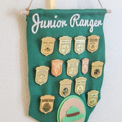 Junior Ranger Badge Display